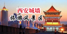 插逼网站中国陕西-西安城墙旅游风景区